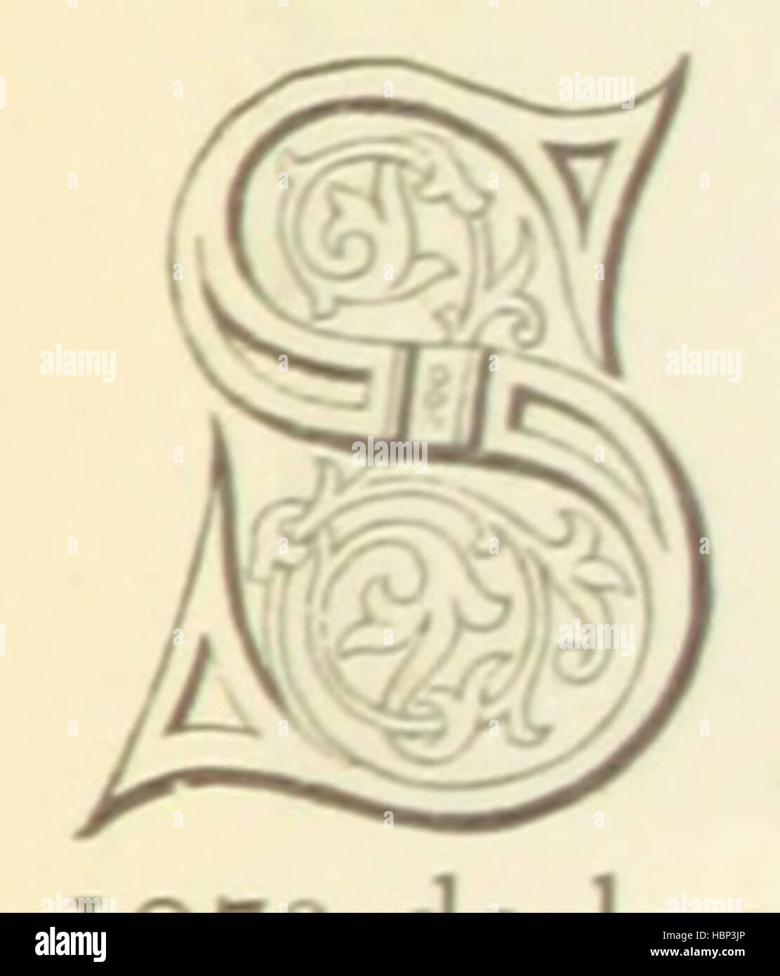 Immagine presa da pagina 403 di 'n.a. misión diplomática en la Indo-China. Descripción del viaje de la Legación especial de España al Imperio de Annam y Reino de Siam ... biella prólogo onu de Don P. de novo y Colson ... Publicación ilustrada, etc' immagine presa da pagina 403 di 'n.a. misión diplomática en Foto Stock