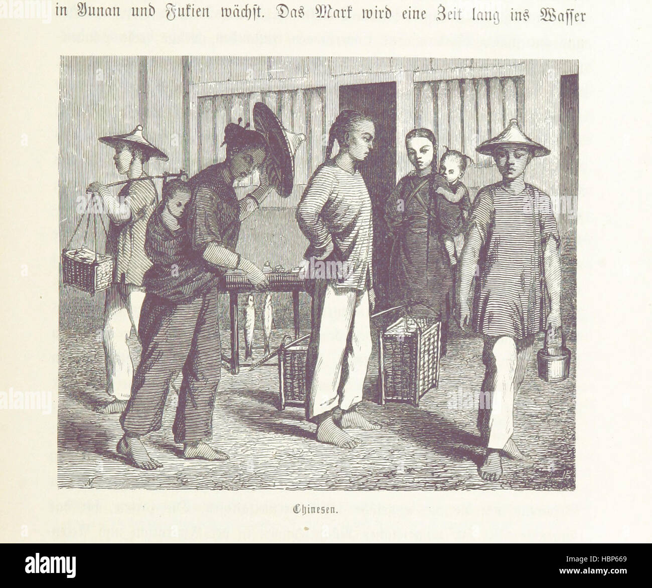 Immagine presa da pagina 301 di 'Reise der österreichischen Fregatte Novara um die Erde in den Jahren 1857-1859 unter den Befehlen des Commodore B. von Wüllerstorf-Urbair. (Physikalische und geognostische Erinnerungen von A. V. Humboldt.) [disegni con immagini tratte da pagina 301 di "der Reise Fregatte österreichischen Foto Stock