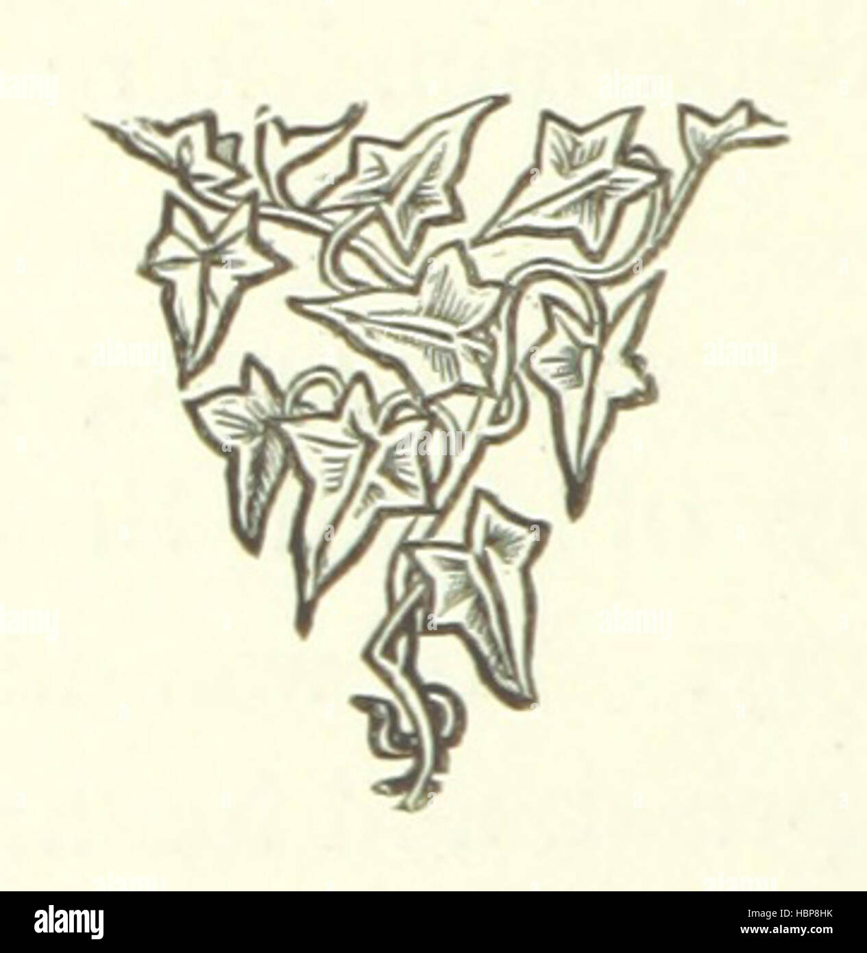 Immagine presa da pagina 102 di 'il ribelle Rose. Un romanzo. [J. MacCarthy e R. M. Praed.]' immagine presa da pagina 102 di 'il ribelle Rose un Foto Stock