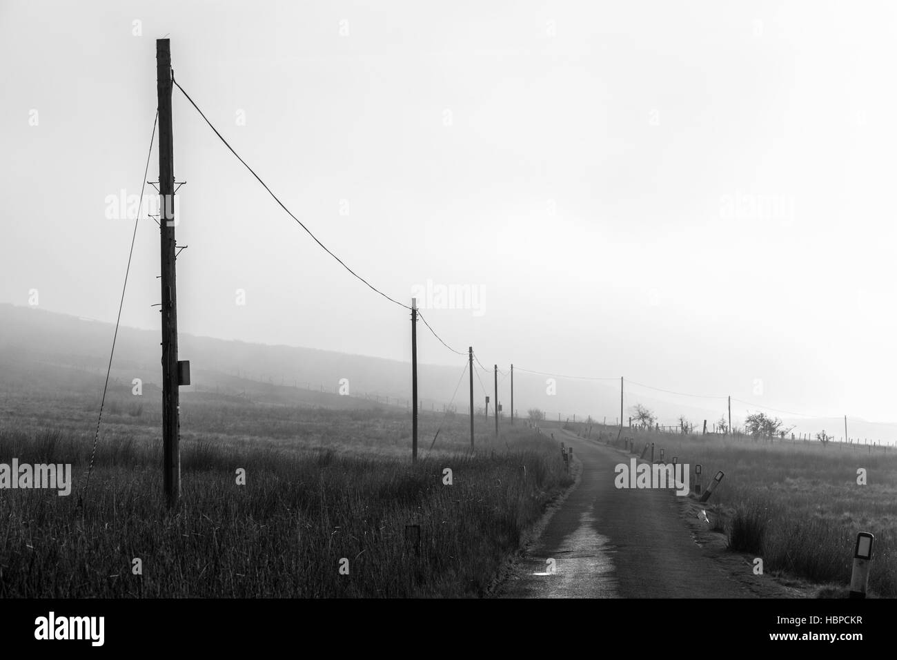 Rurale linee telefoniche in un giorno di nebbia, England, Regno Unito Foto Stock