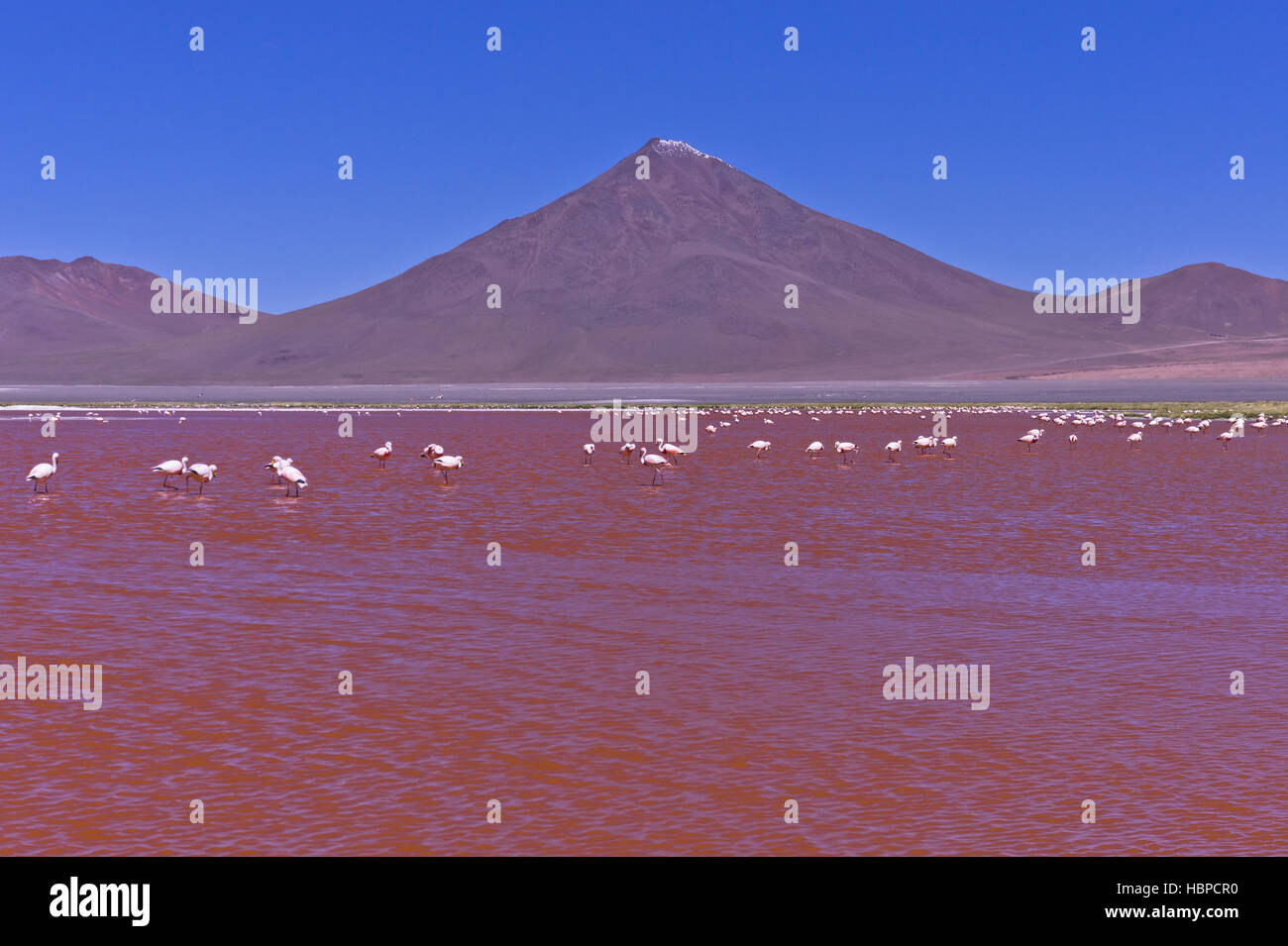 Red Lake, Bolivia, Sud America Foto Stock