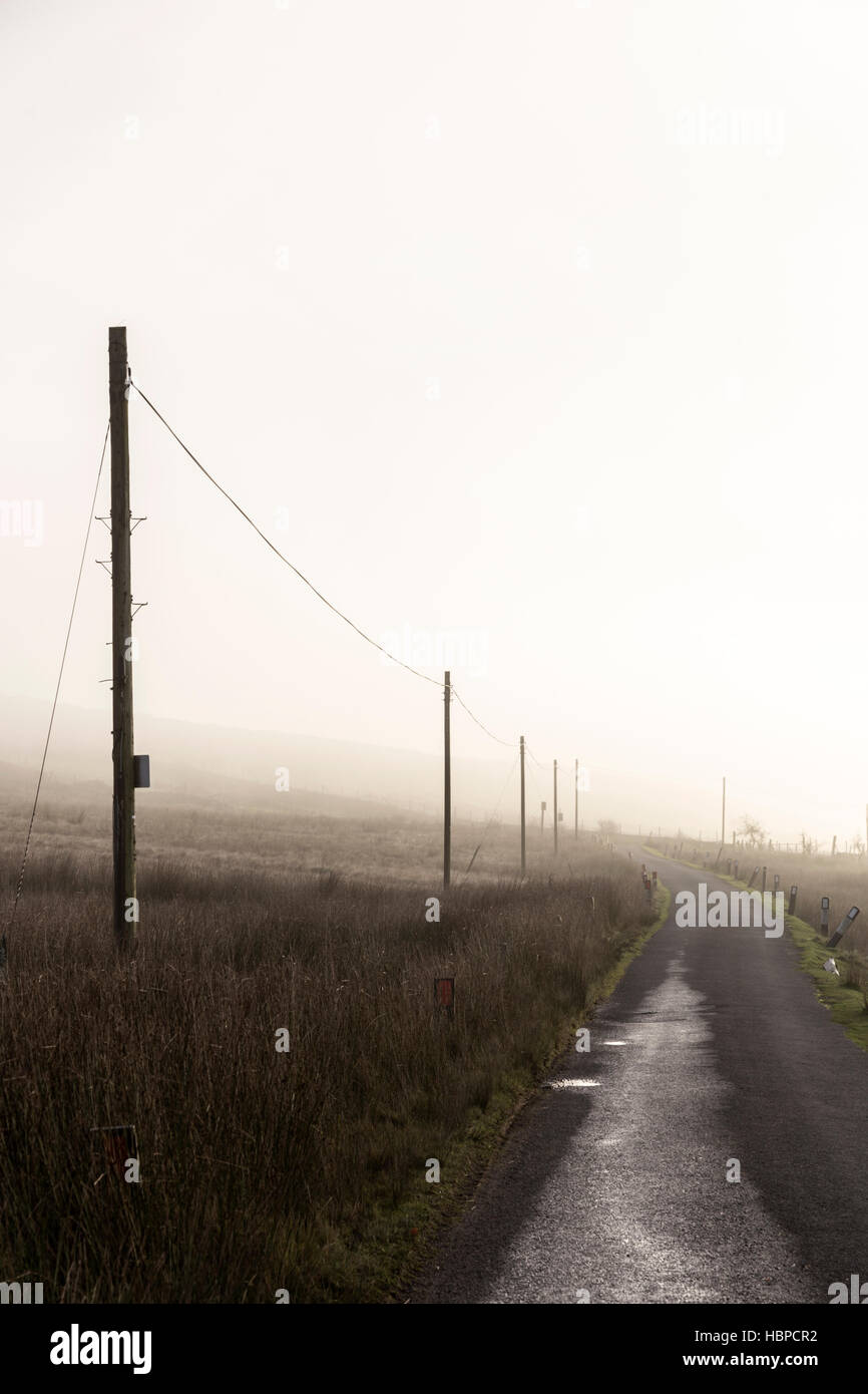 Rurale linee telefoniche in un giorno di nebbia, England, Regno Unito Foto Stock