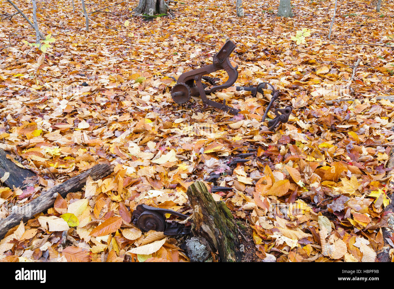 I resti di una vecchia barra falce il tosaerba in un casale abbandonato a Thornton Gore in Thornton, New Hampshire durante i mesi autunnali. Foto Stock