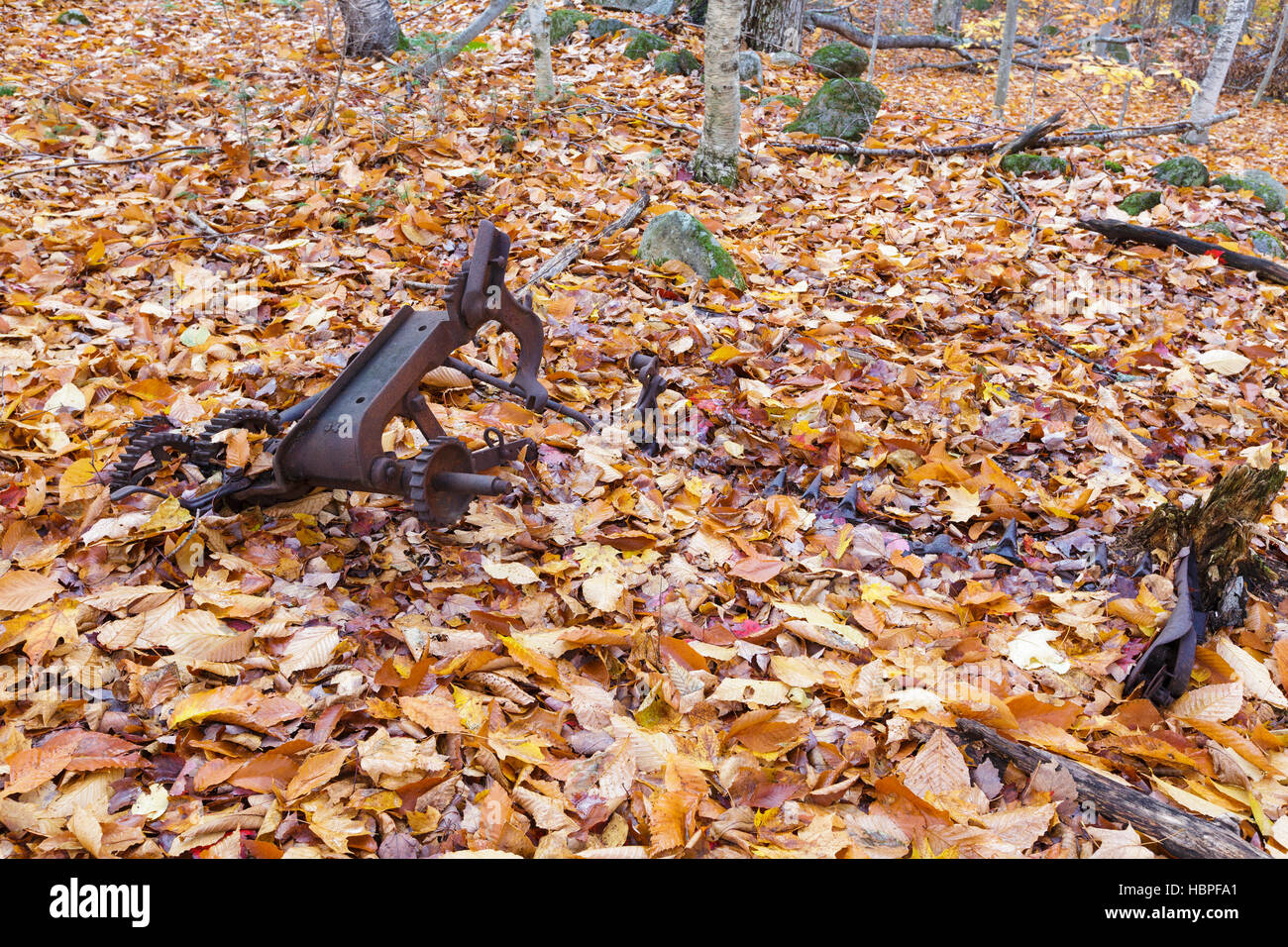I resti di una vecchia barra falce il tosaerba in un casale abbandonato a Thornton Gore in Thornton, New Hampshire durante i mesi autunnali. Foto Stock