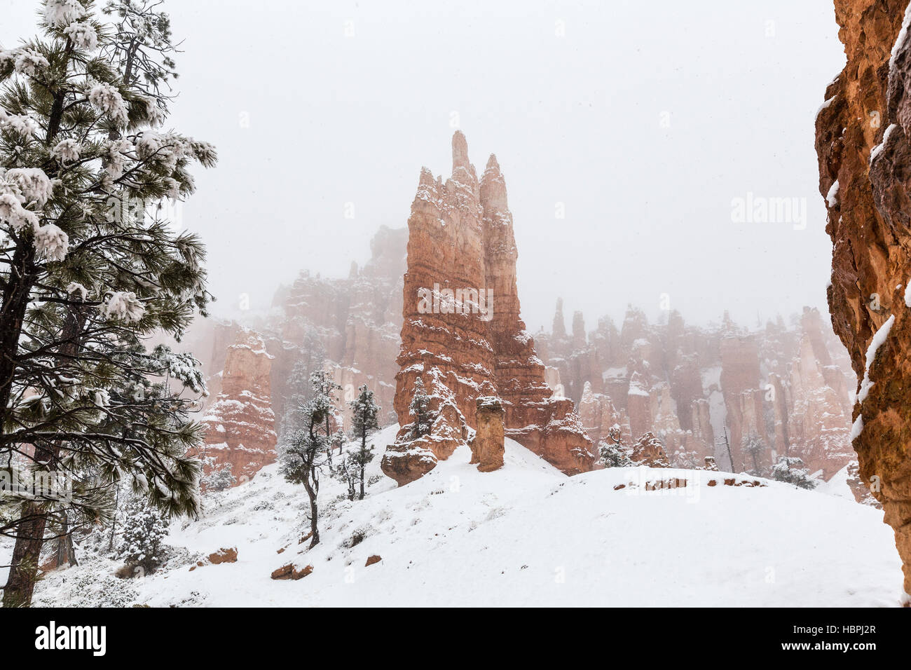 La caduta di neve sul hoodoos al Parco Nazionale di Bryce Canyon nel sud dello Utah. Foto Stock