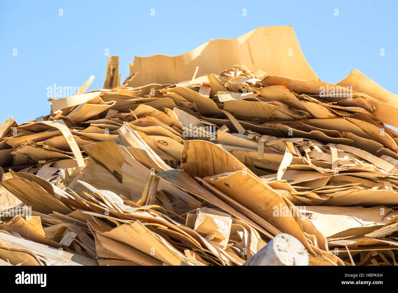 Trucioli di legno per una combustione di biomassa Foto Stock