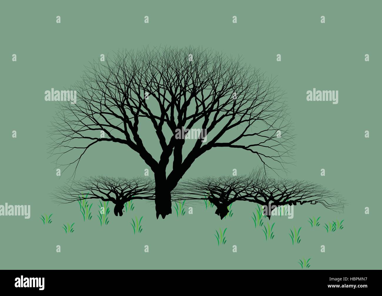 Alberi e hedge su sfondo verde con erba - Scalabilità migliorata Illustrazione Vettoriale