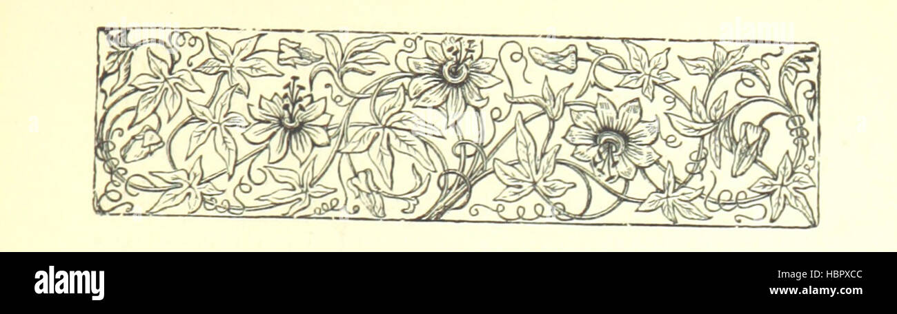 Immagine presa da pagina 281 di 'il ribelle Rose. Un romanzo. [J. MacCarthy e R. M. Praed.]' immagine presa da pagina 281 di 'il ribelle Rose un Foto Stock