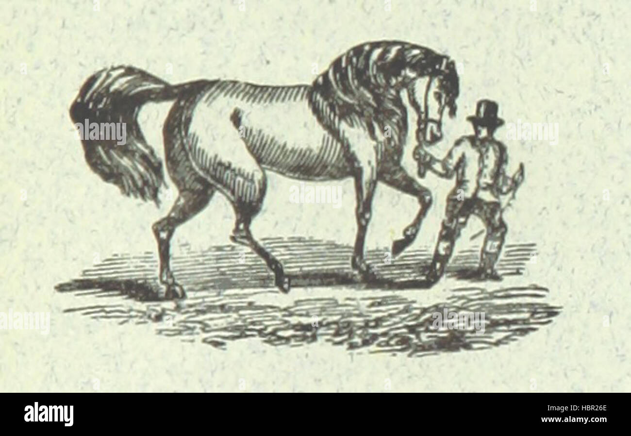 Immagine presa da pagina 71 del '[F. Stebbings' guida illustrata a Lowestoft ... E 'Broads' di Norfolk e Suffolk.]' immagine presa da pagina 71 del '[F Stebbings' GUIDA ILLUSTRATA Foto Stock