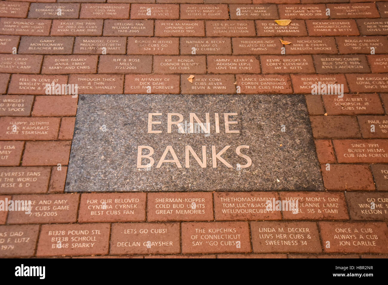 Ernie banche marciapiede della placca. Wrigley Field è un baseball park si trova sul lato nord di Chicago, Illinois. Essa è la Casa dei Chicago Cubs, uno Foto Stock
