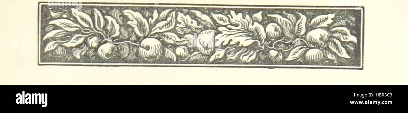 Immagine presa da pagina 171 di 'un XIX secolo la realtà: un romanzo del giorno. Da Moimême' immagine presa da pagina 171 di 'un XIX secolo la realtà Foto Stock