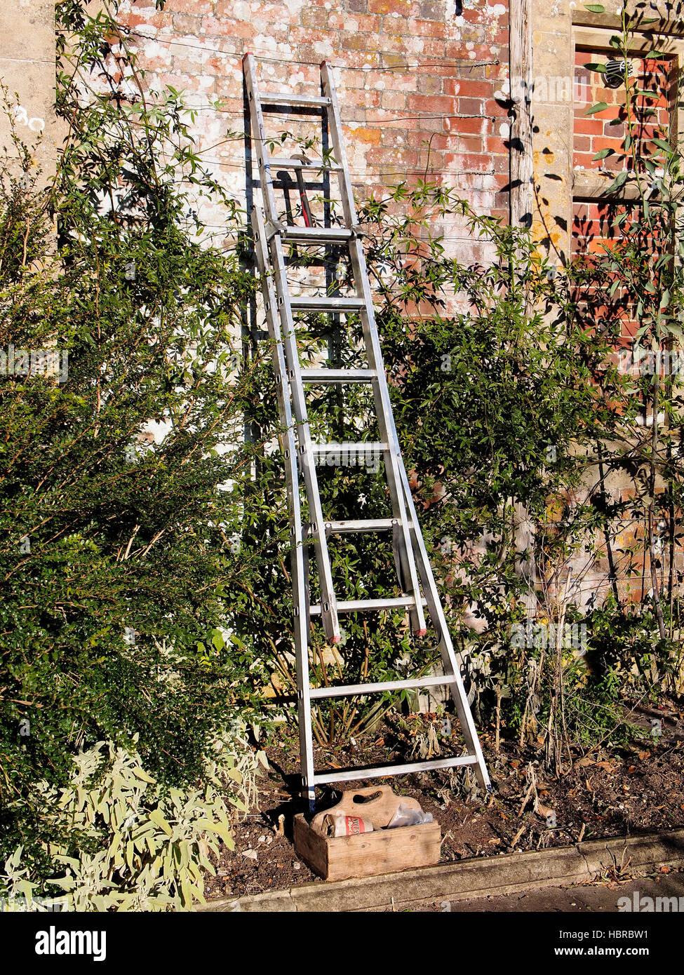 Una scala si appoggia contro una parete in attesa per il giardiniere per tornare a completare la legatura in una pianta rampicante i fili. Foto Stock