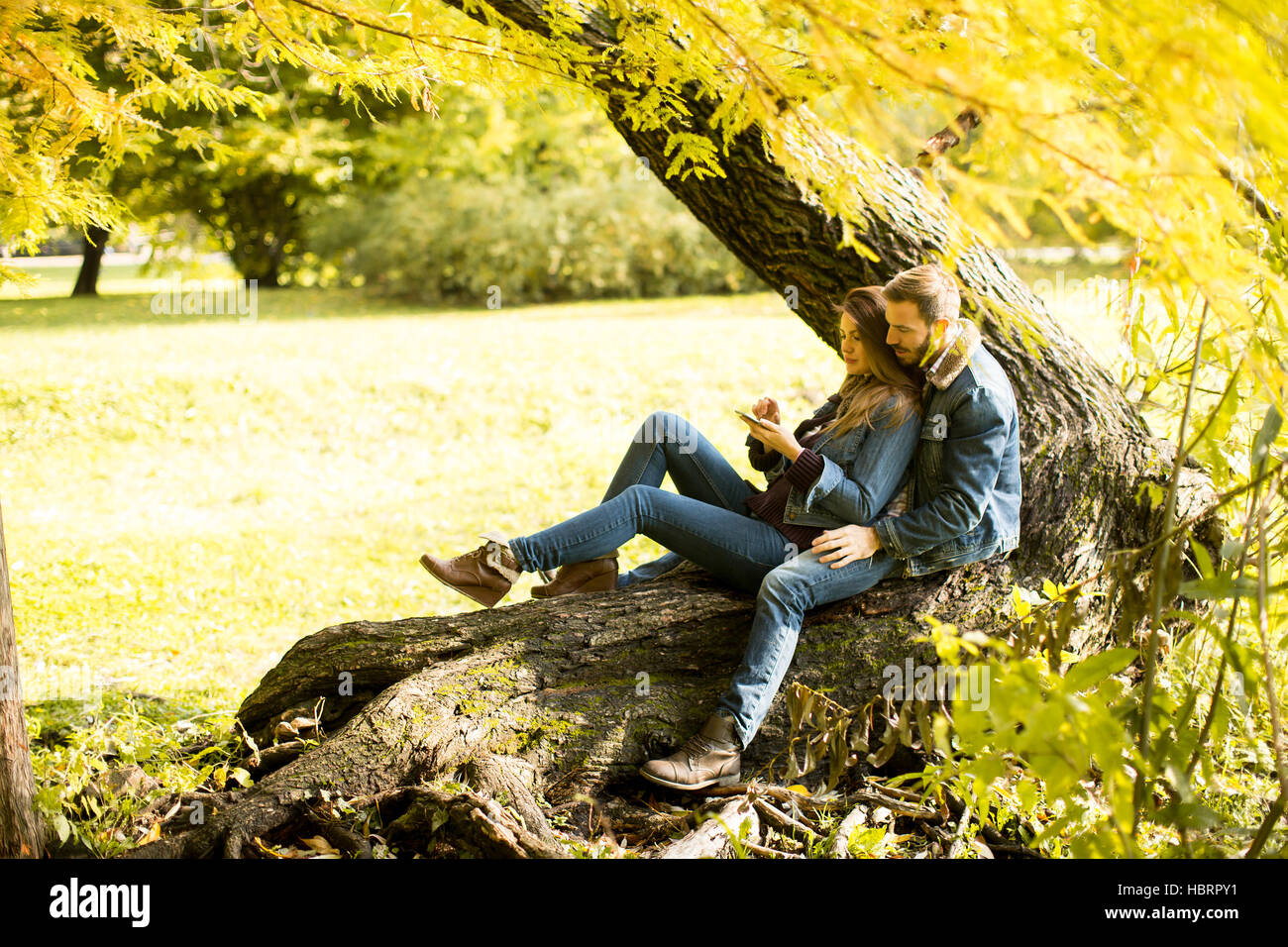 Matura in amore seduti su un albero in autunno park Foto Stock
