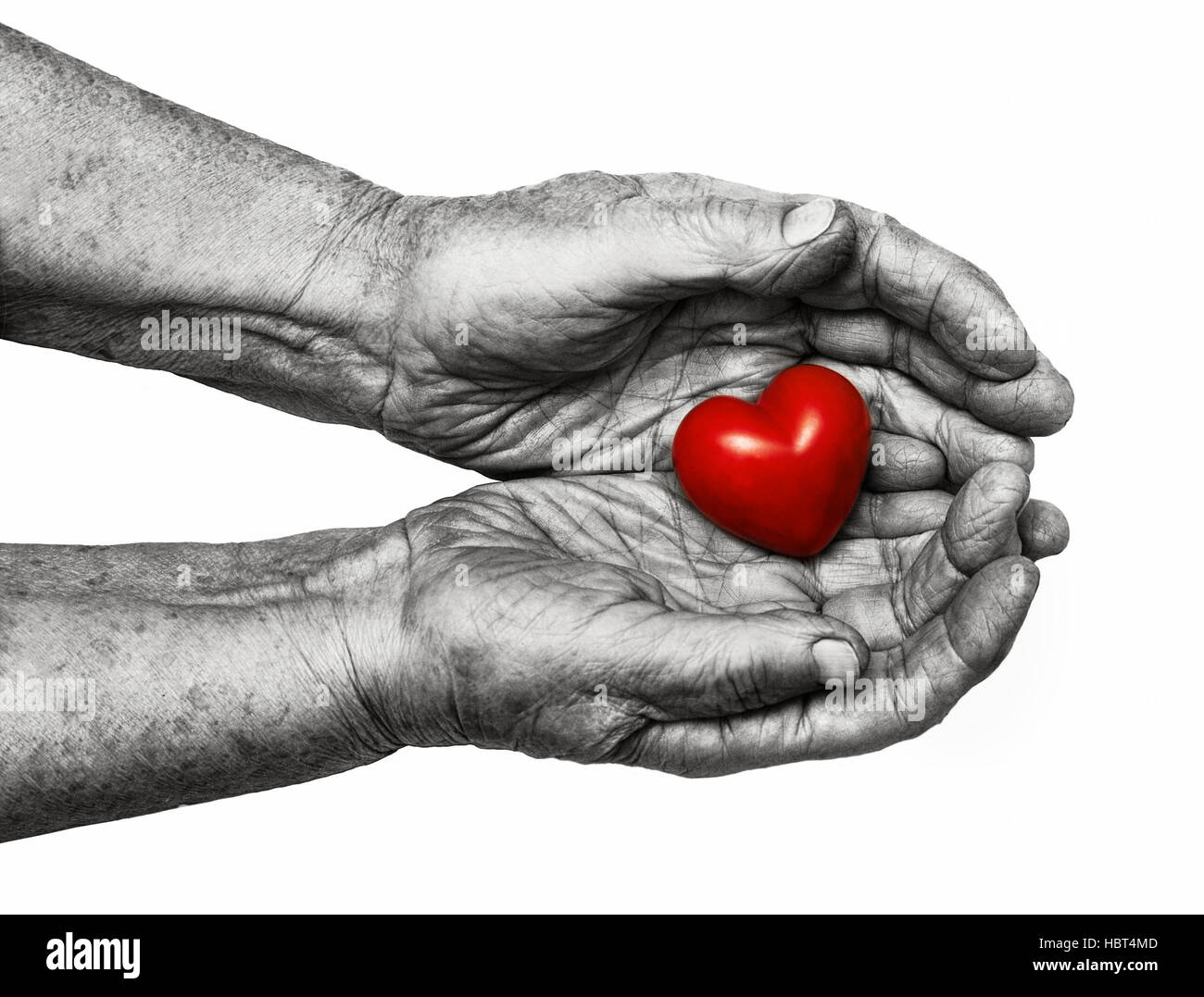 Donna anziana mantenendo il cuore rosso nel suo palms isolati su sfondo bianco, simbolo di attenzione e di amore Foto Stock