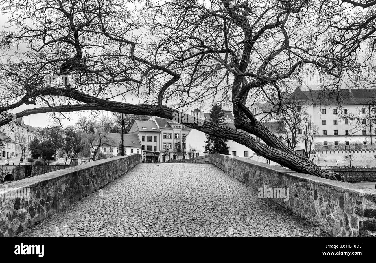 Castello di pisek ceco immagini e fotografie stock ad alta risoluzione ...