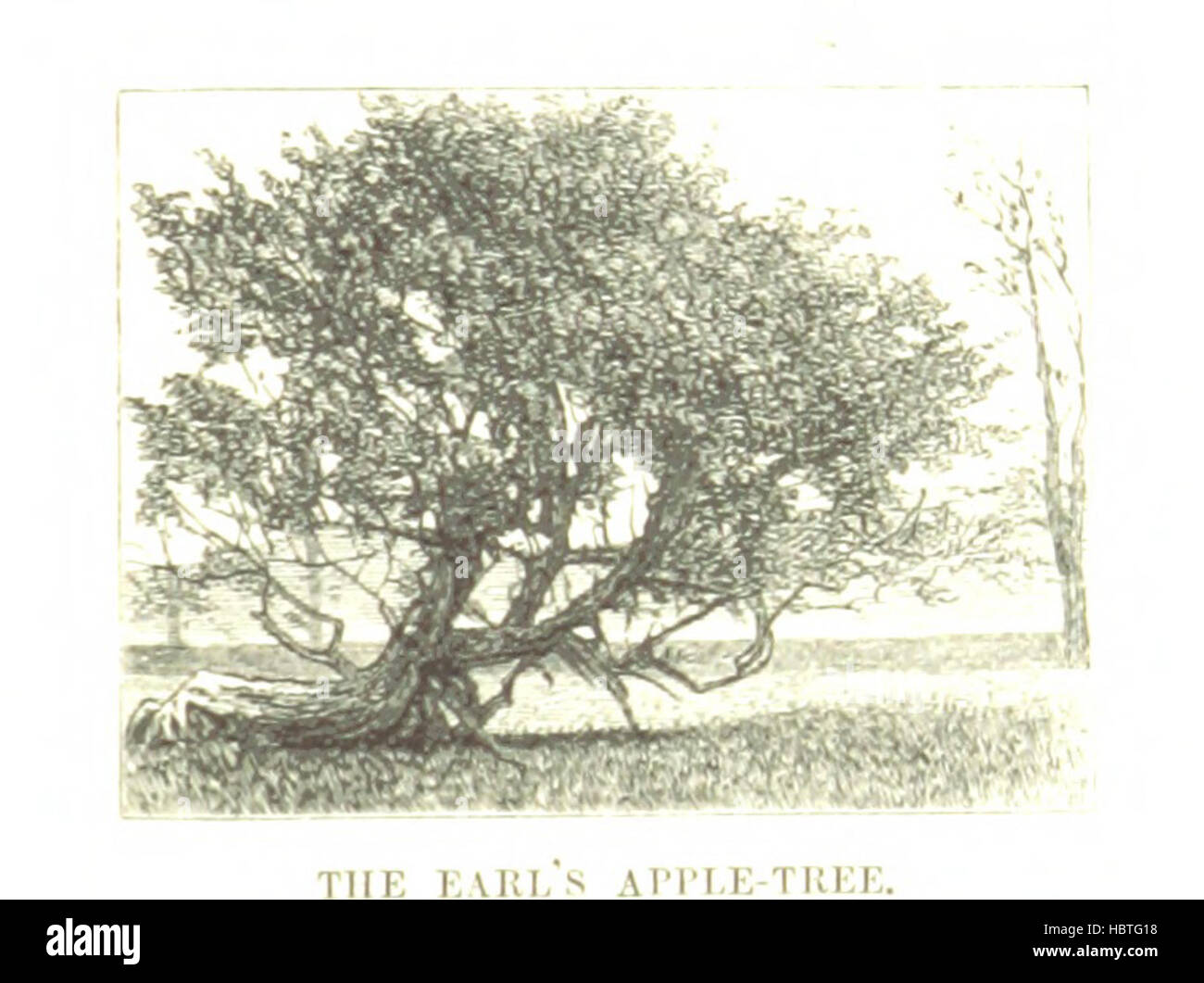 L'illustrazione raffigura il fiume Tyne e i suoi affluenti, mostrando sponde del fiume, ponti, paesaggi circostanti e insediamenti vicini. Le immagini sottolineano l'idrologia, la geografia e l'infrastruttura. Foto Stock