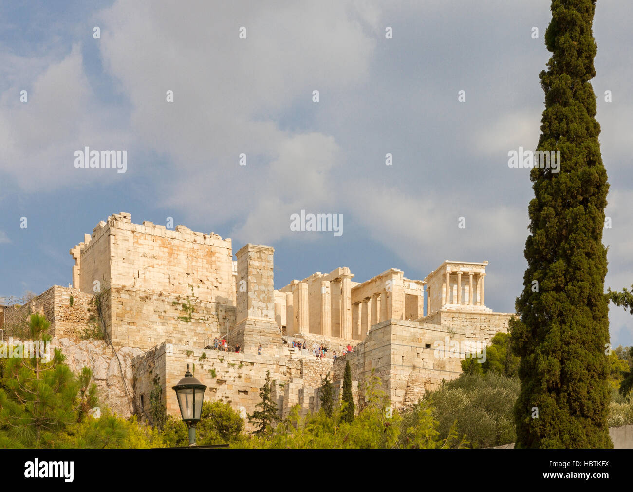 L'Acropoli di Atene in Grecia dietro un Cipresso Foto Stock