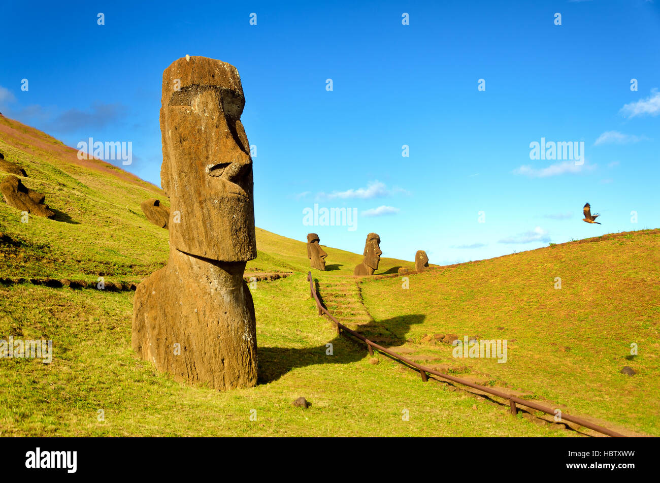 Il Moai delle colline dell'Isola di Pasqua, il Cile sono unite nella loro solitudine da un flying hawk Foto Stock