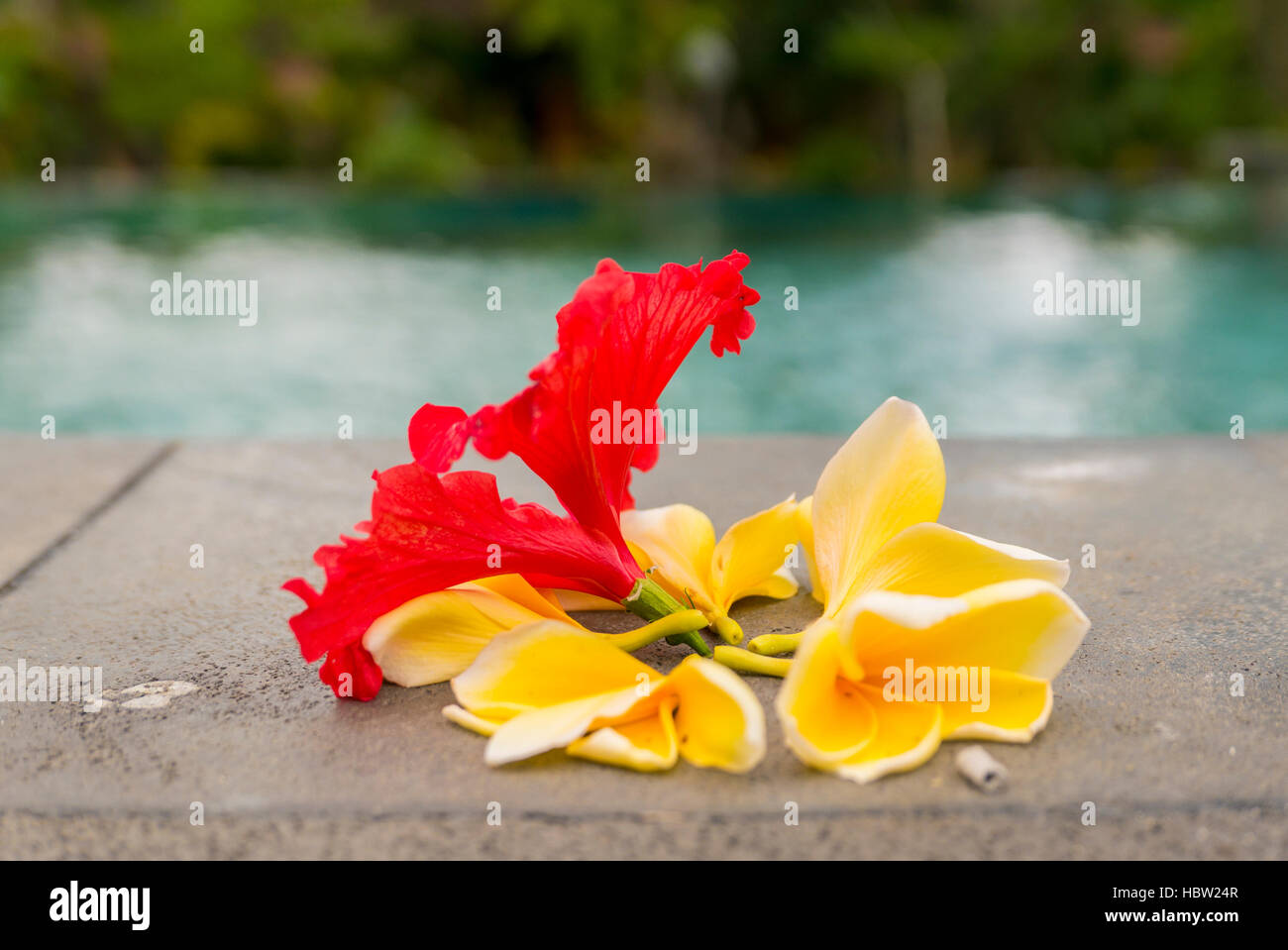 Offerte di religiosi in Bali, fiori colorati accanto alla piscina Foto Stock