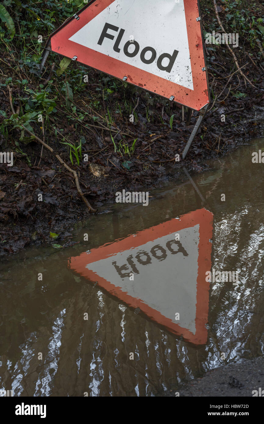 Corsia di campagna allagata nei pressi della città di Lostwithiel, a metà della Cornovaglia. Metafora per allerta alluvione, aree soggette a alluvione. Mercato di commercio di acqua, acqua come merce. Foto Stock