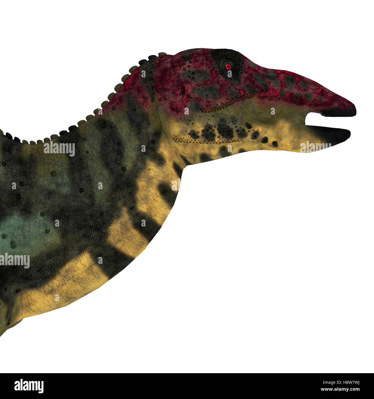 Shuangmiaosaurus era un erbivoro iguanodont dinosaur che ha vissuto in Cina nel Cretaceo. Foto Stock