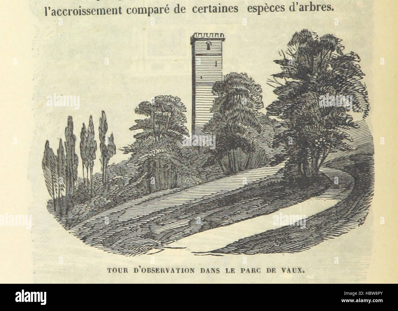 Immagine presa da pagina 302 di 'Statistique monumentale du Calvados' immagine presa da pagina 302 di 'Statistique monumentale du Calvados' Foto Stock