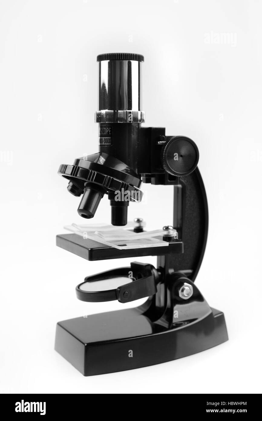 Microscopio isolato su sfondo semplice Foto Stock