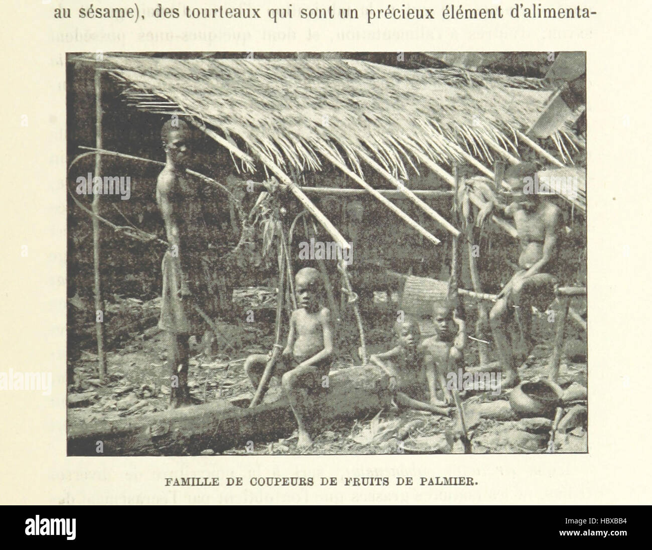 Immagine presa da pagina 503 di 'Le Congo historique, diplomatique, physique, politique, économique, humanitaire et coloniale. Ouvrage contenant une grande carte, etc' immagine presa da pagina 503 di 'Le Congo historique, diplomatique, Foto Stock