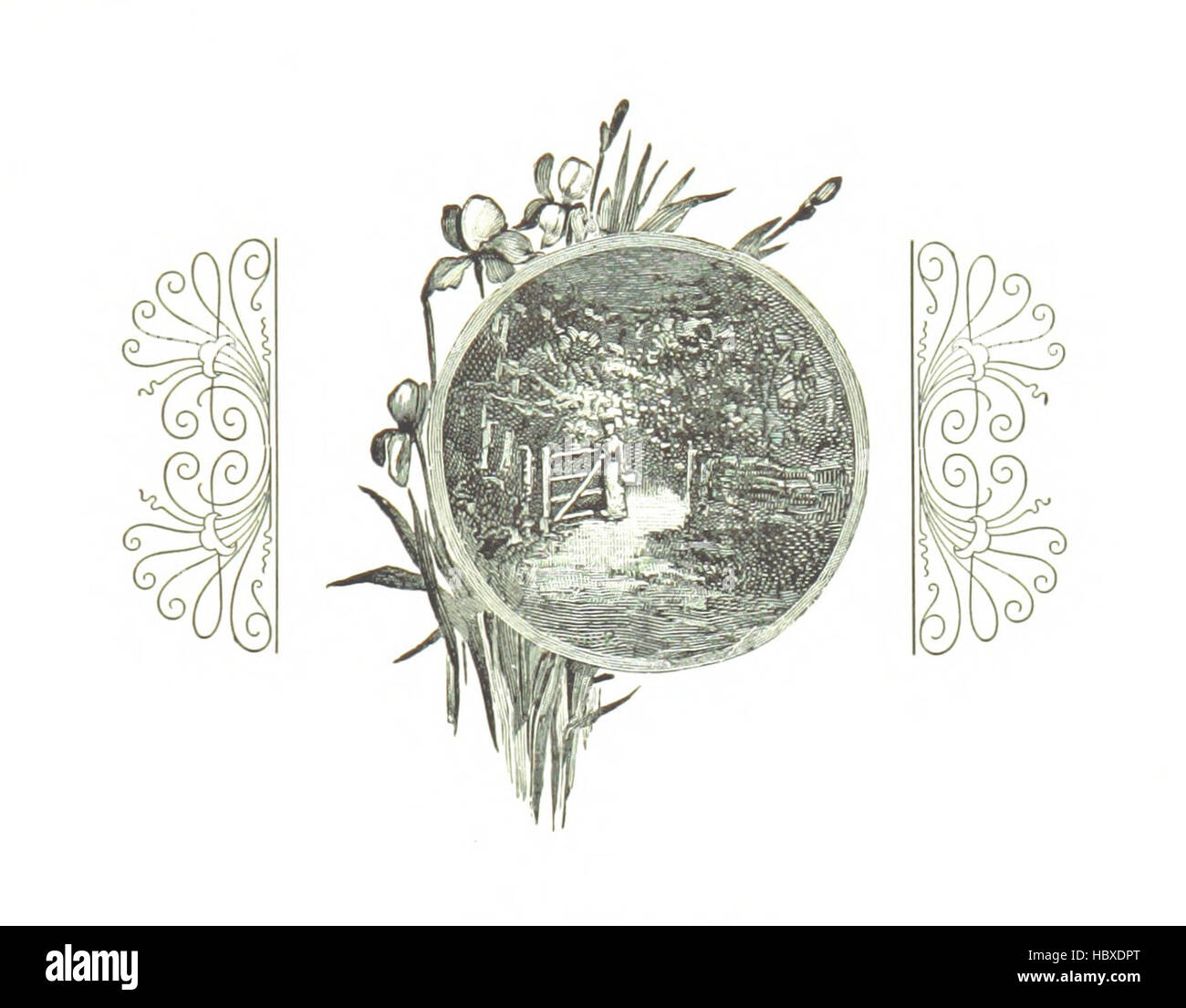 Immagine presa da pagina 187 di 'in cerca di un clima ... Con ... illustrazioni, etc' immagine presa da pagina 187 di 'in cerca di un Foto Stock