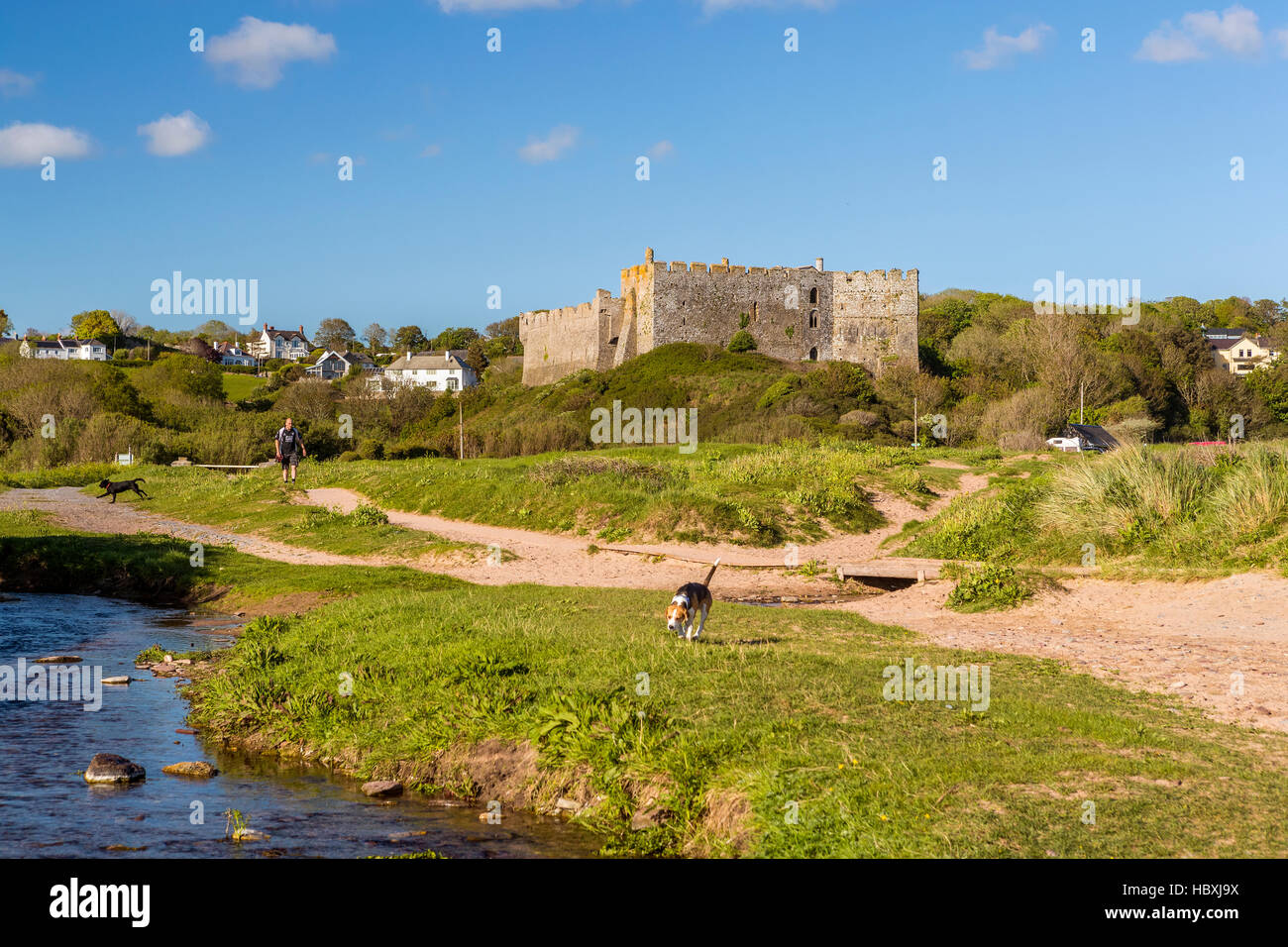 Manorbier Castle, Il Pembrokeshire Coast National Park, Pembrokeshire, Wales, Regno Unito, Europa. Foto Stock