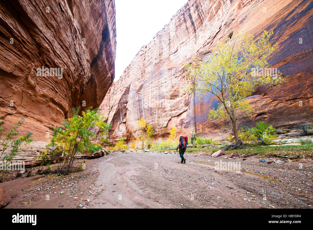 Una giovane donna backpacking attraverso il Canyon di Wolverine, Utah Foto Stock