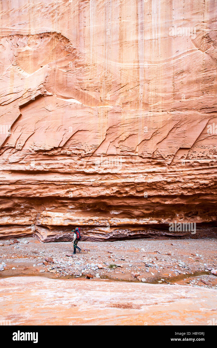 Una giovane donna backpacking attraverso il Canyon di Wolverine, Utah Foto Stock