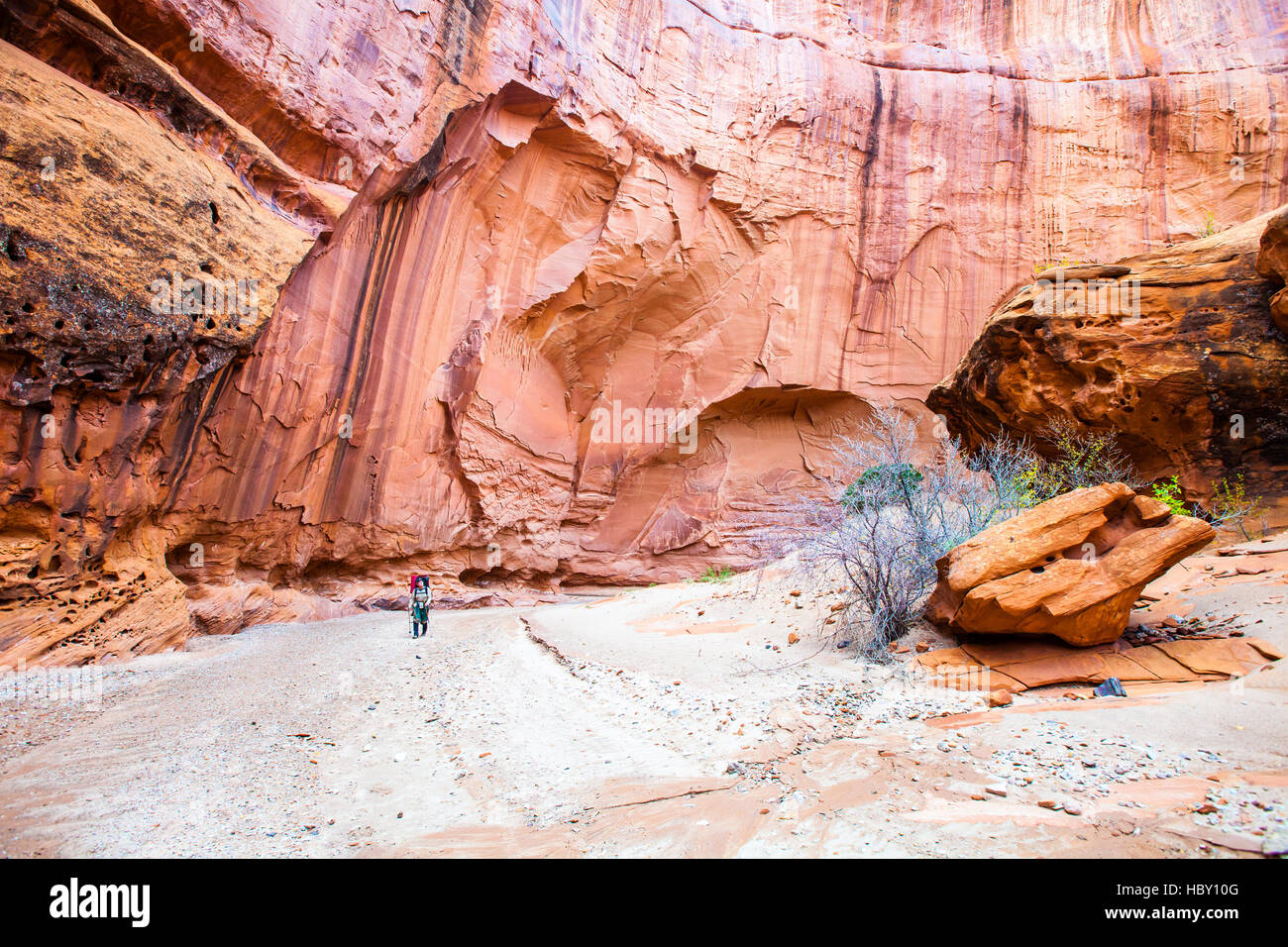 Una giovane donna backpacking attraverso il Canyon di Wolverine, Utah Foto Stock