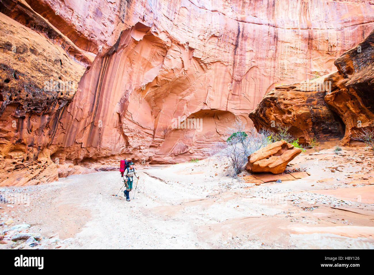 Una giovane donna backpacking attraverso il Canyon di Wolverine, Utah Foto Stock