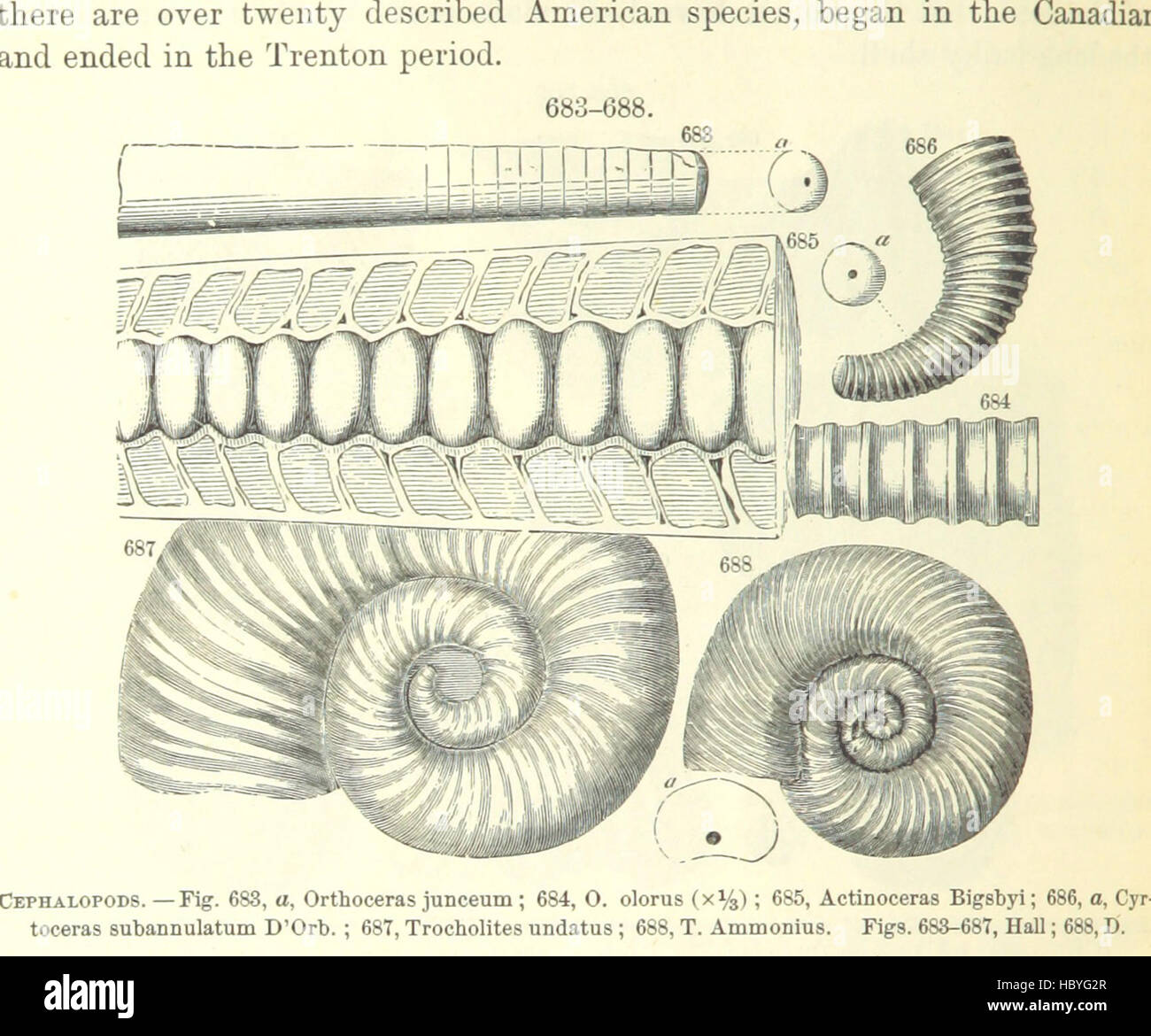 Immagine presa da pagina 518 del '[manuale di geologia: trattamento dei principi della scienza con speciale riferimento alla American storia geologica ... Edizione riveduta.]' immagine presa da pagina 518 del '[manuale di geologia il trattamento Foto Stock