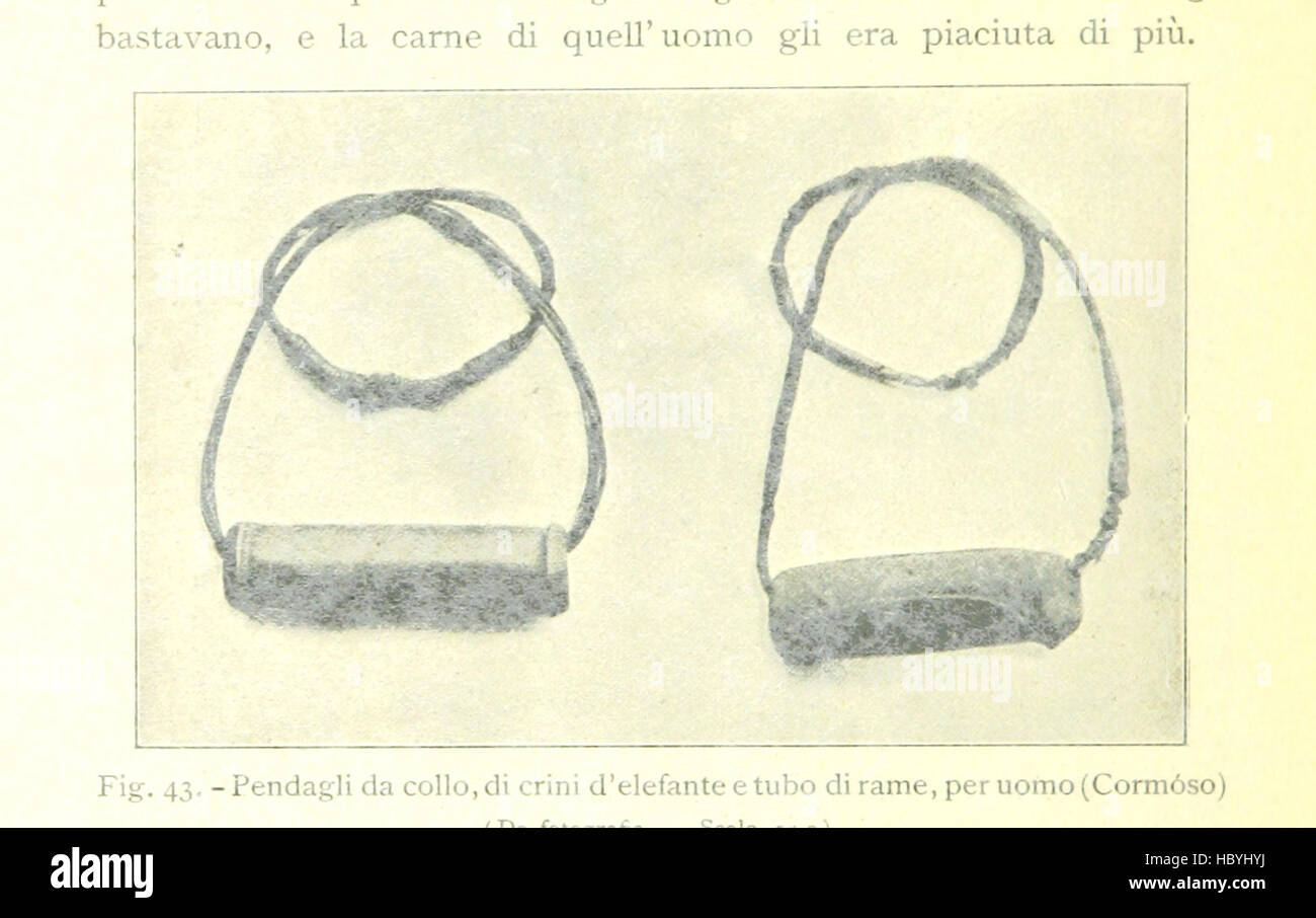 Immagine presa da pagina 204 di " Viaggi di scoperta nel cuore dell'Africa. Il Giuba esplorato sotto gli auspici della Società geografica italiana. Con 143 incisioni e 4 grandi carte geografiche, etc' immagine presa da pagina 204 di " Viaggi di scoperta nel Foto Stock