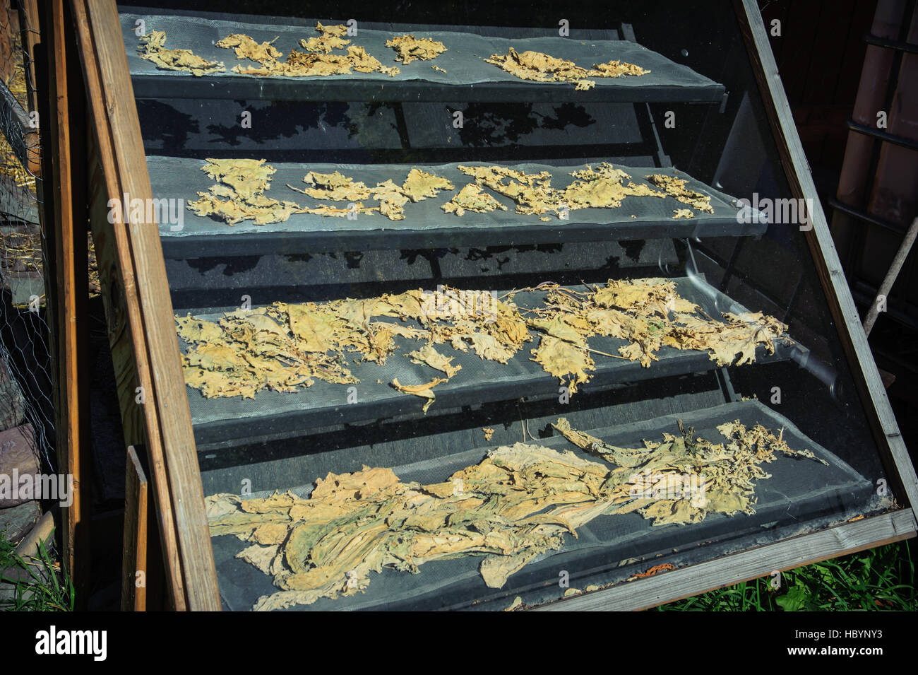 Essicatore solare in Missoula Montana. Foto Stock