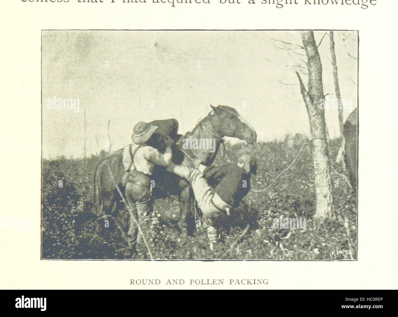 Immagine presa da pagina 101 di "Terra di Muskeg. Con una prefazione di A. H. polline. ... Con le illustrazioni da schizzi di A. H. Il polline ... e quattro mappe' immagine presa da pagina 101 di "terra di Foto Stock