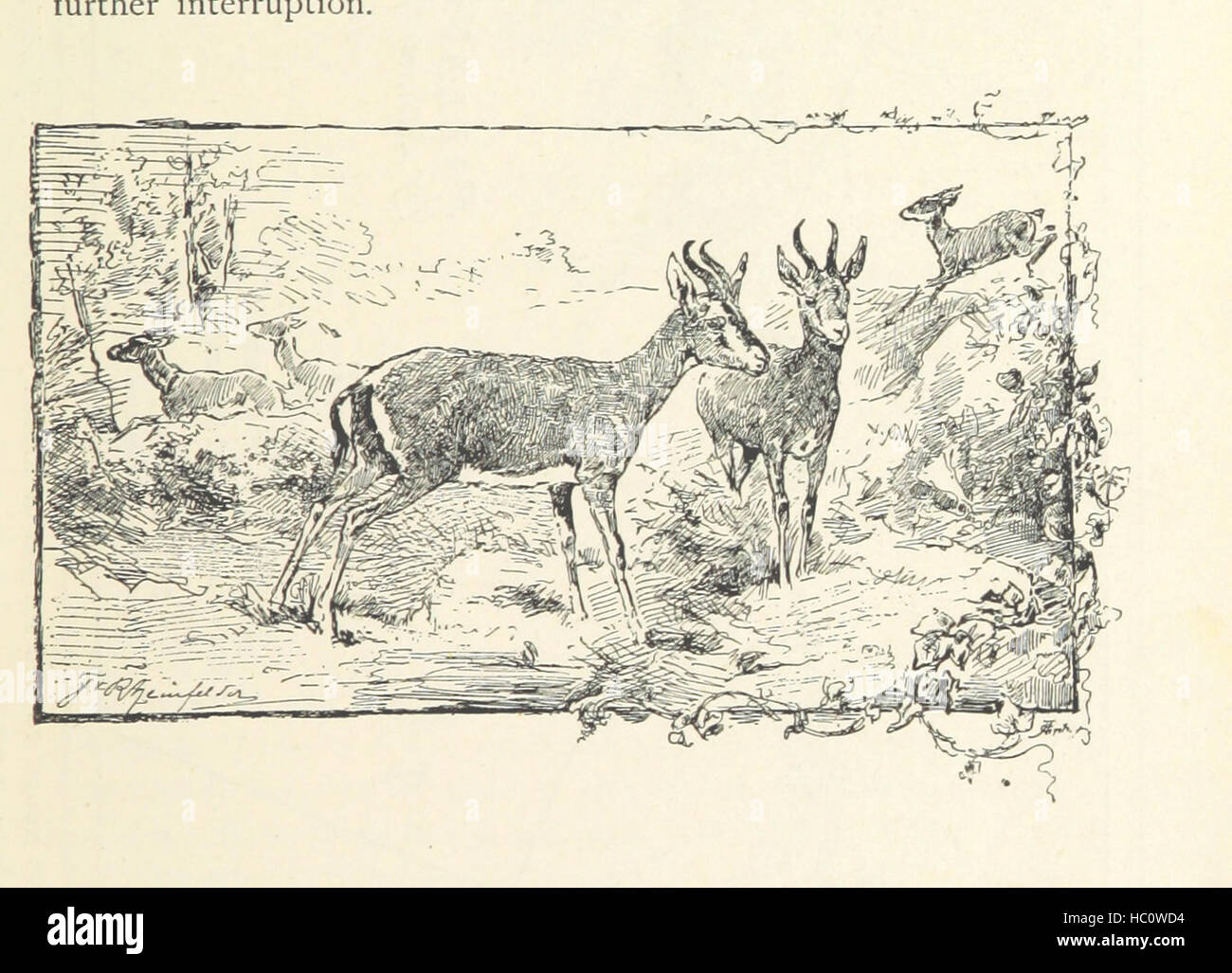Immagine presa da pagina 241 di 'viaggi in Africa durante gli anni 1875-1878 (1879-1883-1882-1886) ... Traduzione dal tedesco di A. H. Keane ... Illustrato' immagine presa da pagina 241 di 'viaggi in Africa durante Foto Stock
