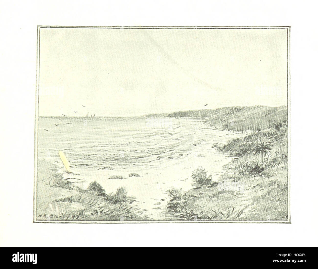 Immagine presa da pagina 317 di 'in scia di Colombo. Avventure del commissario speciale inviato dal mondo Columbian Exposition alla West Indies ... Con ... illustrazioni, etc' immagine presa da pagina 317 di 'in scia di Foto Stock