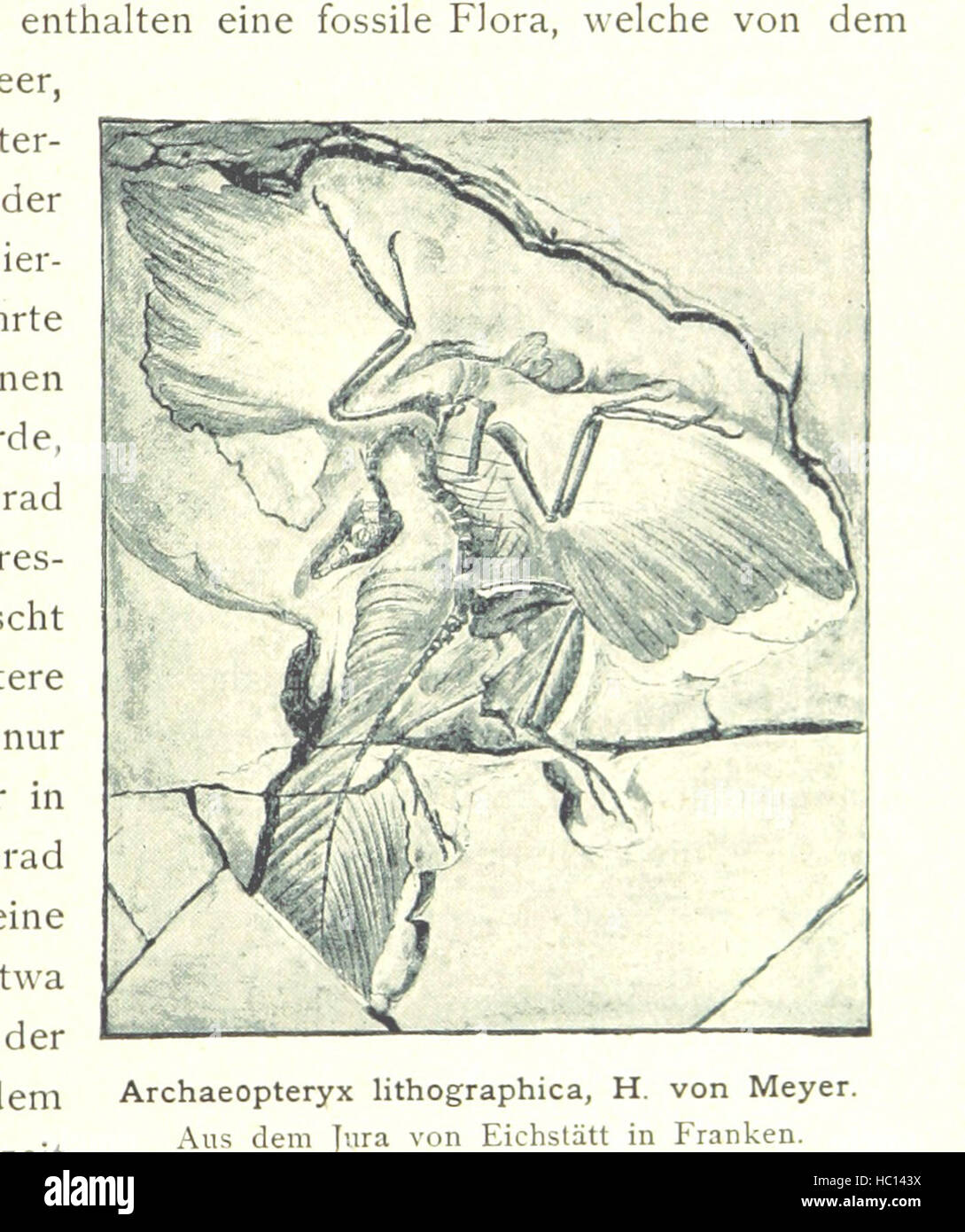 Immagine presa da pagina 59 del 'Kulturgeschichte ... Vierte Auflage. Neu bearbeitet von M. von Brandt e [altri], etc' immagine presa da pagina 59 del 'Kulturgeschichte Vierte Auflage Foto Stock