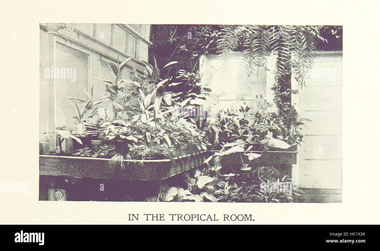 Immagine presa da pagina 59 di 'souvenir di Lincoln Park. Un illustrato e guida descrittiva' immagine presa da pagina 59 di 'souvenir di Lincoln Park Foto Stock