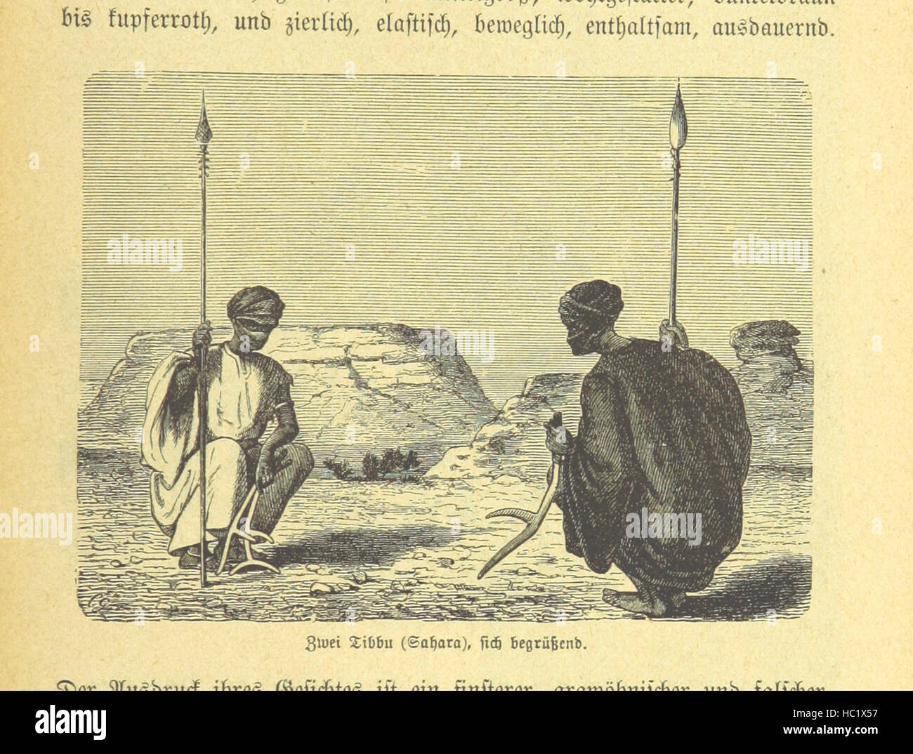 Immagine che mostra le classificazioni razziali umane, le caratteristiche fisiche, le caratteristiche facciali, i teschi, le tonalità della pelle, tipi di capelli e osservazioni antropologiche nello studio della diversità umana. Foto Stock