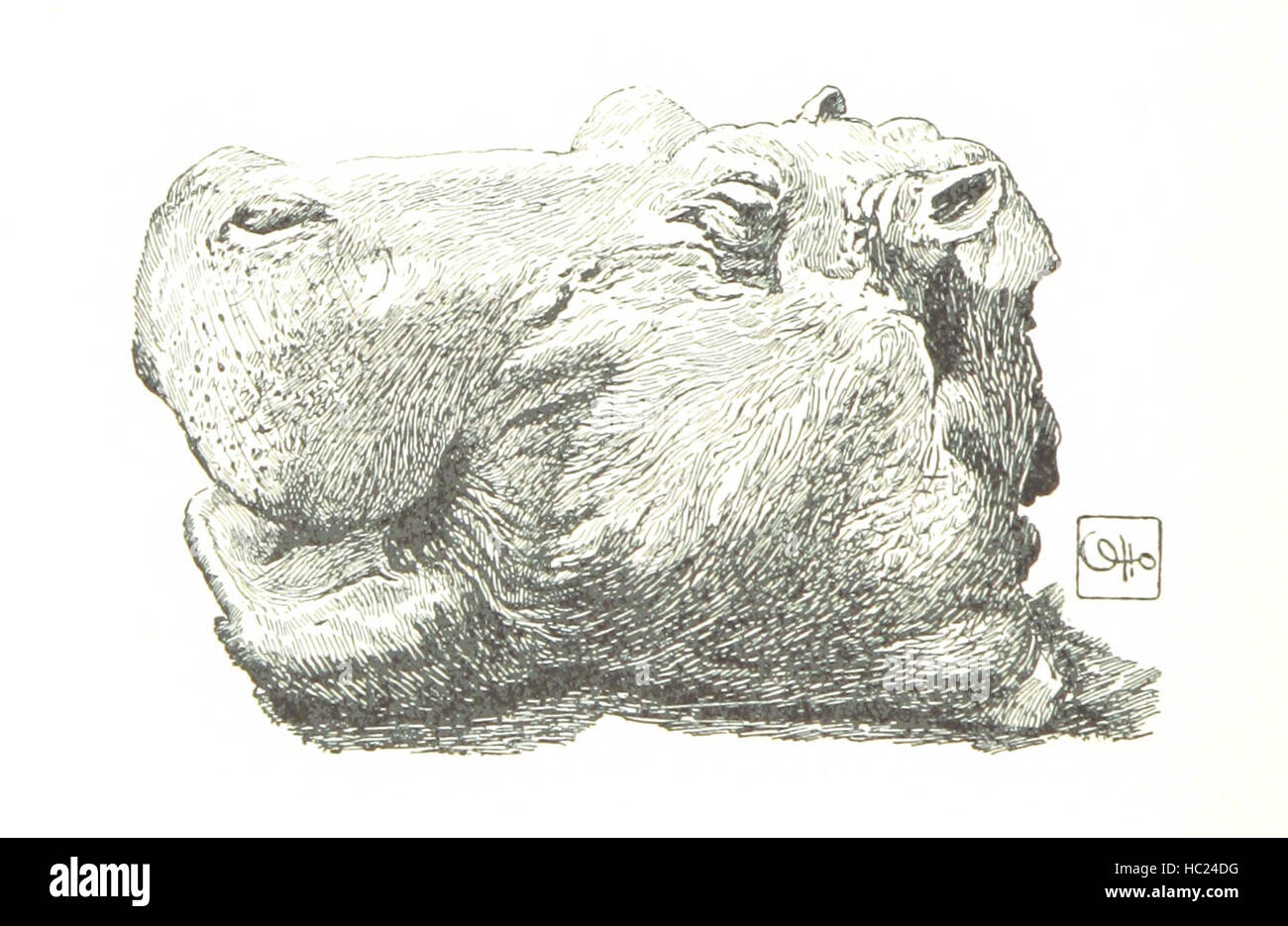 Questa pagina presenta viaggi in Africa orientale, tra cui giungle, deserti, fiumi, insediamenti, comunità locali, fauna selvatica e caratteristiche geografiche. Documenta percorsi, mappe e osservazioni culturali. Foto Stock