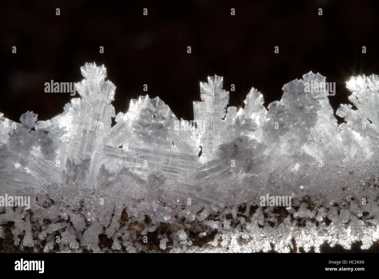 Close-up di cristalli di ghiaccio su una filiale di piccole dimensioni Foto Stock