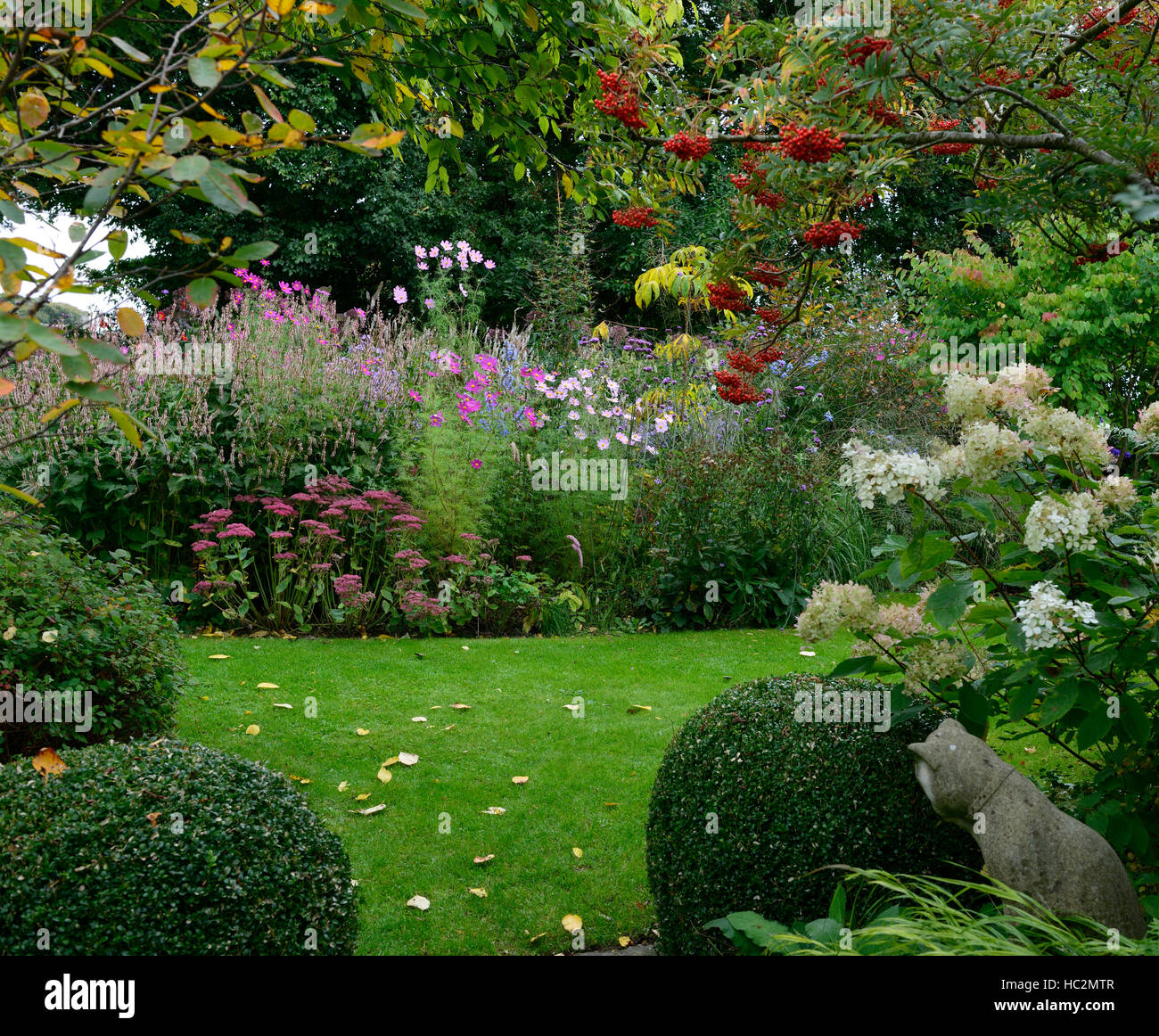 Mix misto letto bordo display fiori fioritura RM gatto floreale statua hydrangea cosmo dahlia sorbus albero Foto Stock