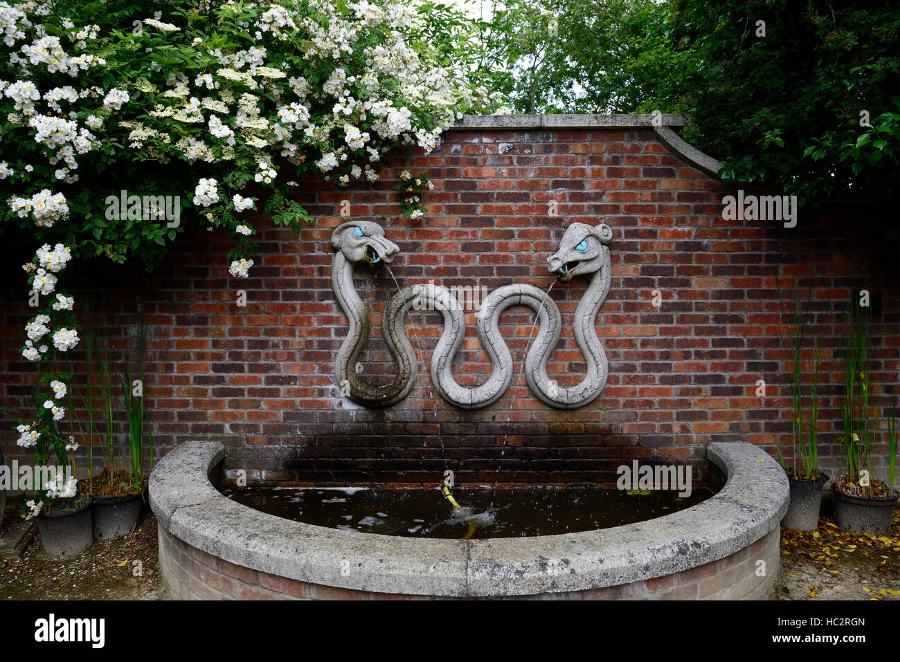 Double twin due intitolata snake Polycephaly multi-testa teste multiple mitica creatura sculpture garden fontana Foto Stock