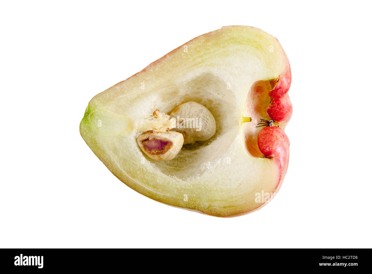 Rosa verde di Apple (chomphu) isolato su sfondo bianco. La frutta forma di cuore. gli oggetti con i tracciati di ritaglio. Foto Stock
