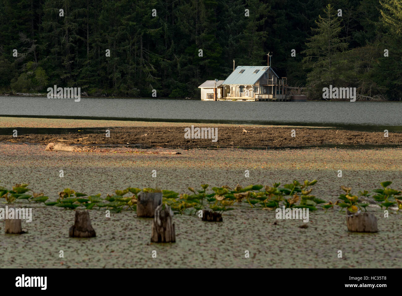 Casa galleggiante sul Lago Tahkenitch, Oregon. Foto Stock