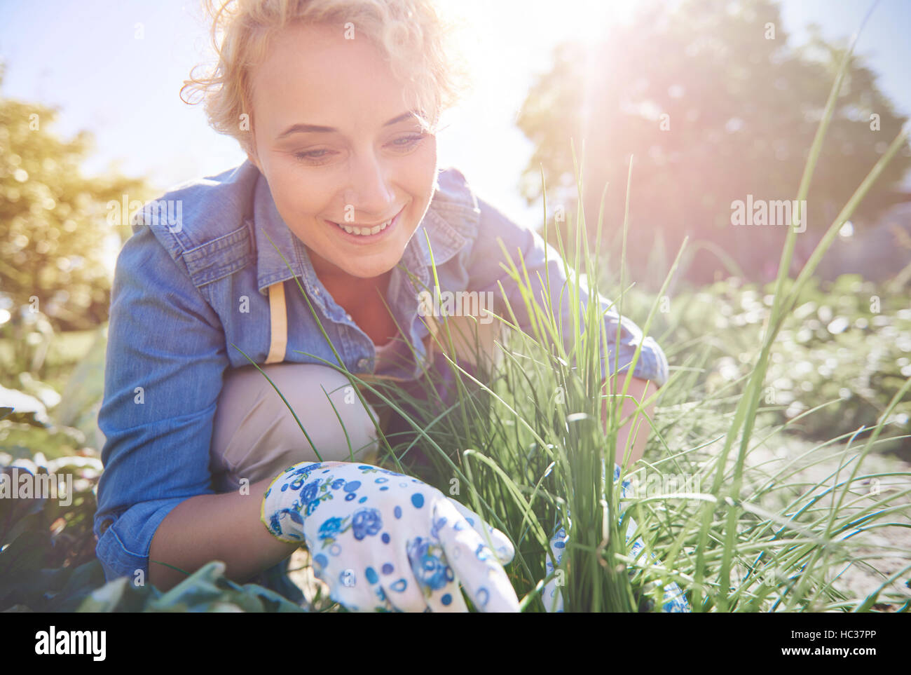 Apprezziamo i progressi della crescita delle piante Foto Stock